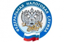 Государственные услуги ФНС России, предоставляемые через многофункциональные центры (МФЦ)